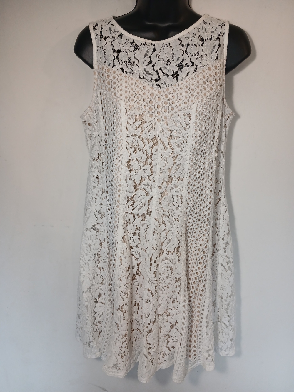 Gabby Skye Lace Dress with Nude Lining